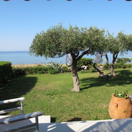 Seafront Calista Beach House With Garden Glifada Zewnętrze zdjęcie